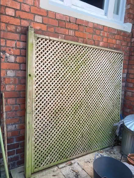 Photo of free 180x180 Trellis Fence Panel (Belle Vue SY3) #1