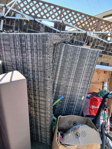 Photo of free Rattan (Po7 6et) #2