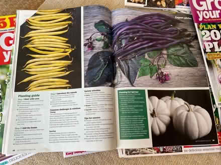 Photo of free Grow Your Own magazine (OX4 Iffley) #4