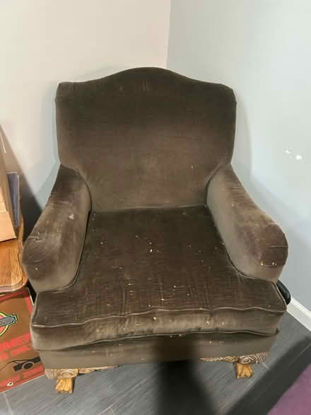 Photo of free Velvet armchair with carved feet (Mount rainier) #1