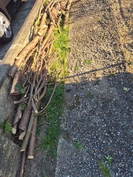 Photo of free Fire wood collect from ME5 8... (Lords Wood ME5) #2