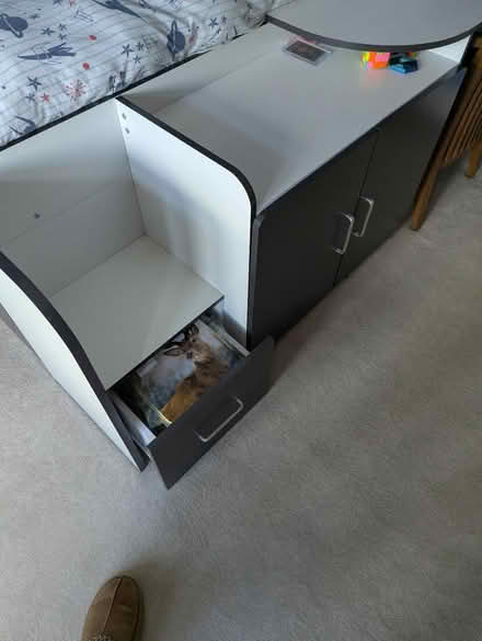 Photo of free Child Kids Bed (Isleworth, TW3) #3