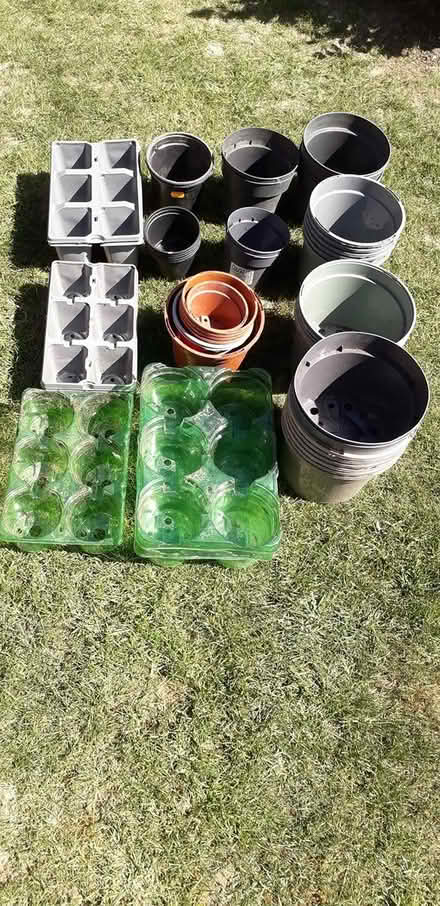 Photo of free plastic plant pots (wyberton) #2