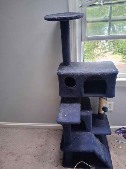 Photo of free Cat tree (Mount rainier) #1