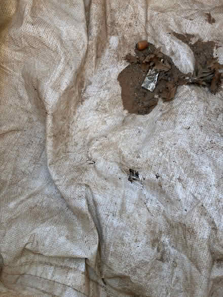 Photo of free Large heavy goods bag. (New Brighton CH45) #2