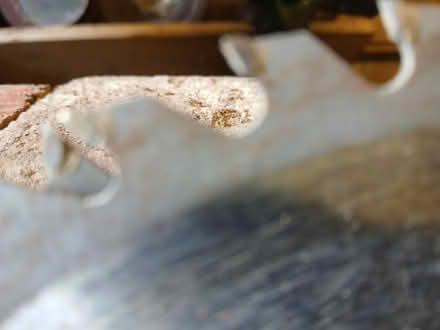 Photo of free Circular Saw blads (B61 9HP) #3