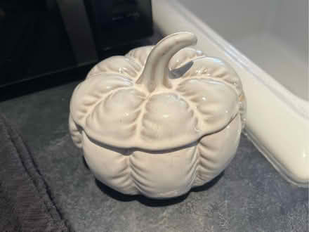 Photo of free Pumpkin Pot (Weston Park BA1) #1