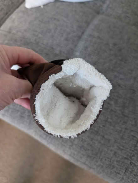 Photo of free Small rodent nest (The Cedars Estate WD3) #2