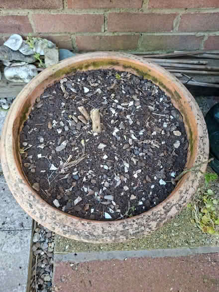 Photo of free Large terracotta pot (Hatfield AL10) #2