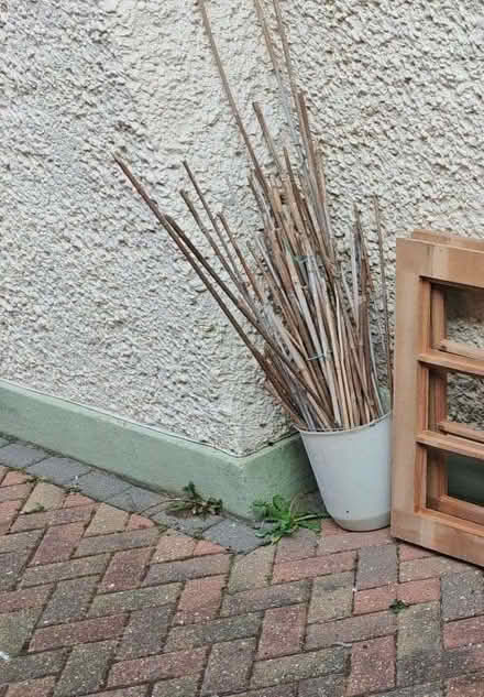 Photo of free Garden canes & odd bits (Boscombe BH5) #1