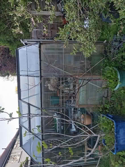 Photo of free Greenhouse (M32 Stretford) #1