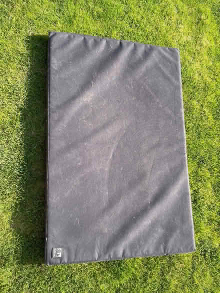 Photo of free Dog mat/bed (Harrogate HG2) #1