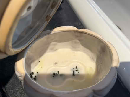 Photo of free Pumpkin Pot (Weston Park BA1) #2