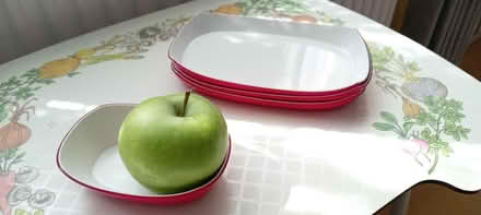 Photo of free Plastic side plates (TW19) #4