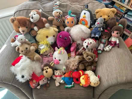 Photo of free Collection of cuddly toys (Solihull b92) #2