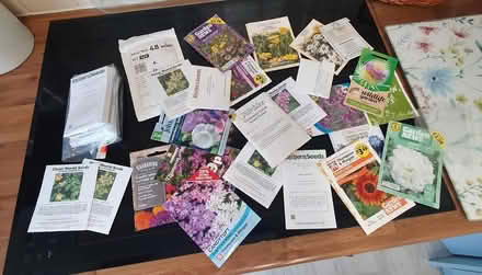 Photo of free Assorted flower seeds (Ivybridge PL21) #1