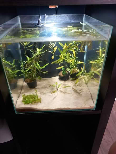 Photo of Fish Tank (Marchwood SO40) #1