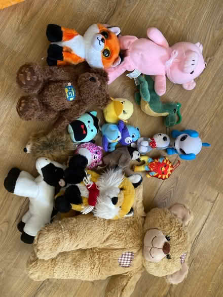 Photo of free Soft toys (Pagham PO21 4) #1