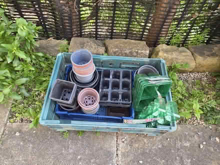 Photo of free Plant Pots (Swallownest S26) #1
