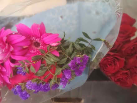 Photo of free Flowers (Loughton IG10) #2