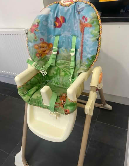 Photo of free child seat - Fisher Price (Gravelly Hill, Erdington) #4