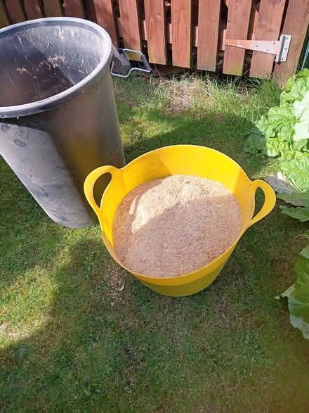 Photo of free Tubs of clean swadust (Worrall S35) #1