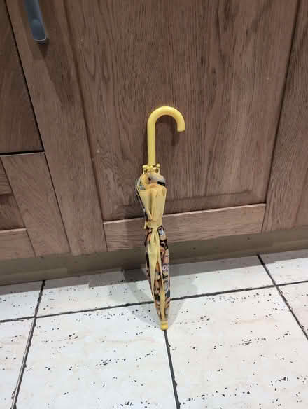 Photo of free Minions Umbrella (Darby Green GU17) #2