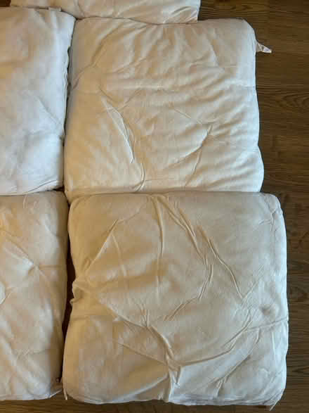 Photo of free 5 x cushions (Cheshunt EN7) #4