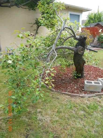 Photo of Posts or old 2X4 or 4X4 (Richmond) #3