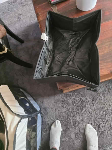 Photo of free 🐾 Free Cat Starter Bundle (Perfect for New Kitten Owner) – (Warden Hill LU2) #4