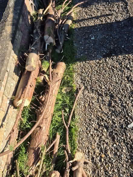 Photo of free Fire wood collect from ME5 8... (Lords Wood ME5) #1