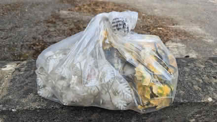 Photo of free Bag of fairy lights (Winchester) #1