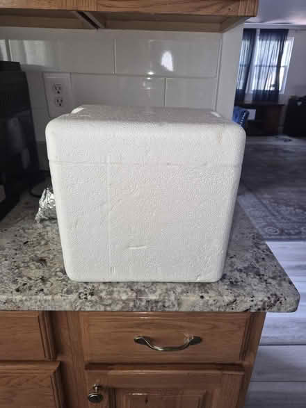 Photo of free Small Styrofoam Cooler (Abington) #2