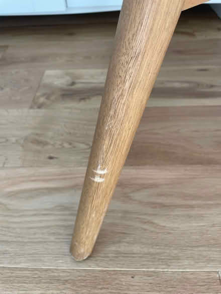 Photo of free 2 x Ikea shell dining chairs (Fulham SW6) #1