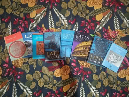 Photo of free Books for Latin GCSE OCR mainly (E17) #1