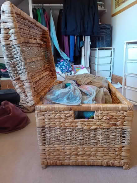 Photo of free Storage Box (Buggs Bottom RG4) #4