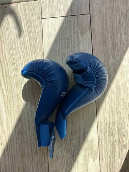 Photo of free Kids Boxing Gloves (Caldecott OX14) #1