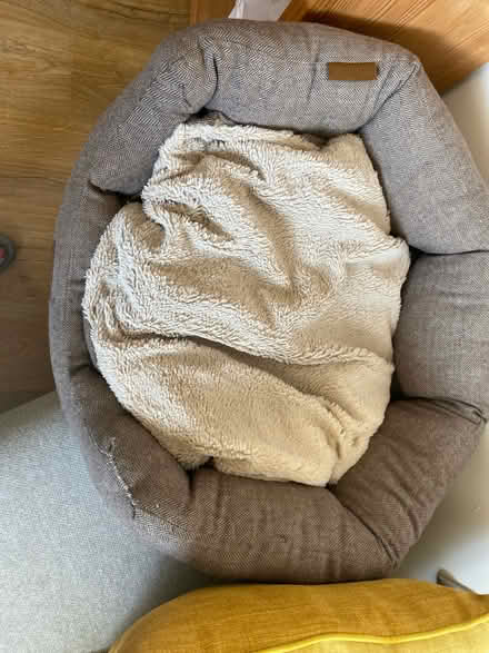 Photo of free Pet bed (Pagham PO21 4) #4