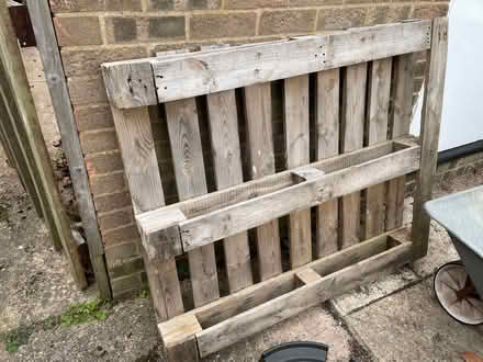 Photo of free Pallet (Lexden CO3) #1
