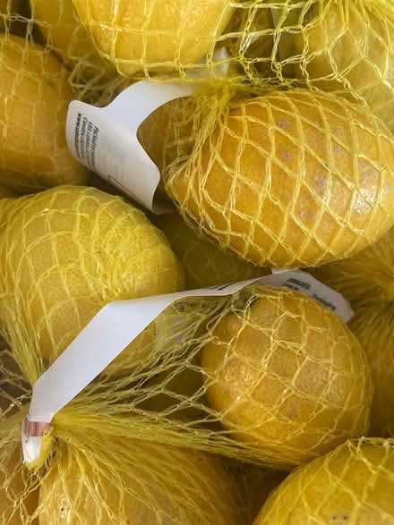 Photo of free Fresh lemons (Ashwood Road PR2) #1