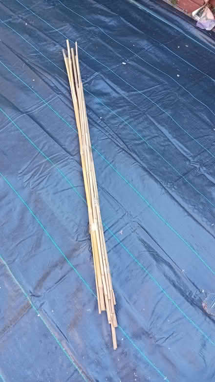 Photo of free Bamboo stakes (Homerton E9) #1