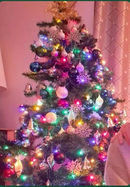 Photo of free Christmas tree with lights etc (east twickenham) #1