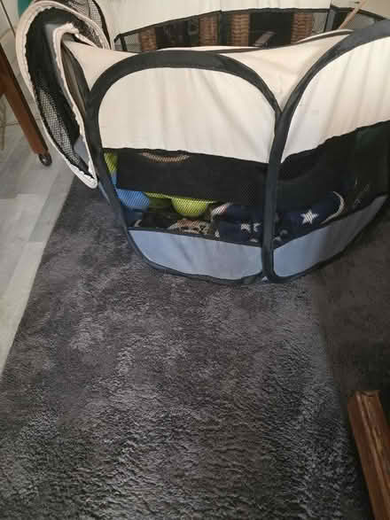 Photo of free 🐾 Free Cat Starter Bundle (Perfect for New Kitten Owner) – (Warden Hill LU2) #3