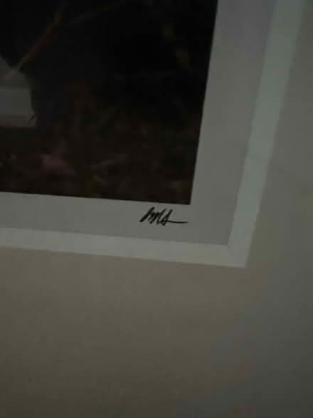 Photo of free Framed Photo (Broomall 19008) #4