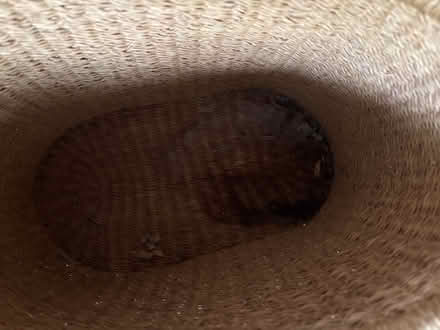 Photo of free Handled basket (Croton-on-Hudson) #2