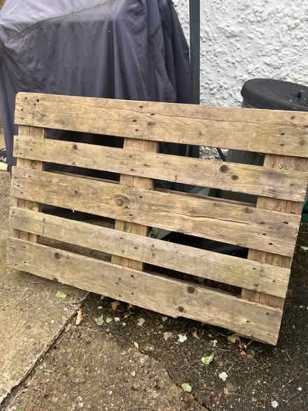 Photo of free Pallet (CR8) #1
