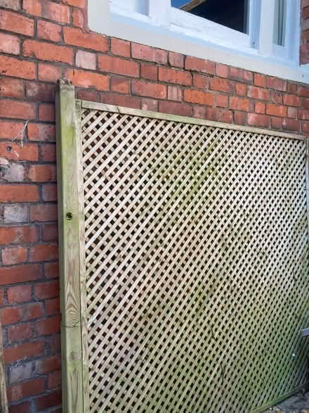 Photo of free 180x180 Trellis Fence Panel (Belle Vue SY3) #2