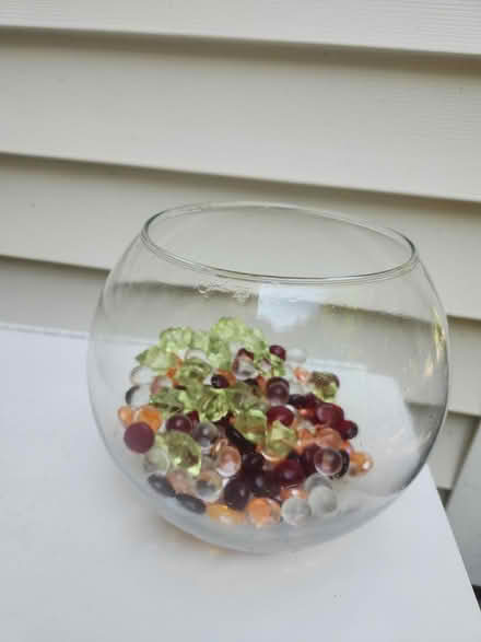 Photo of free Beta fish bowl with "stones" (West Concord MA) #1