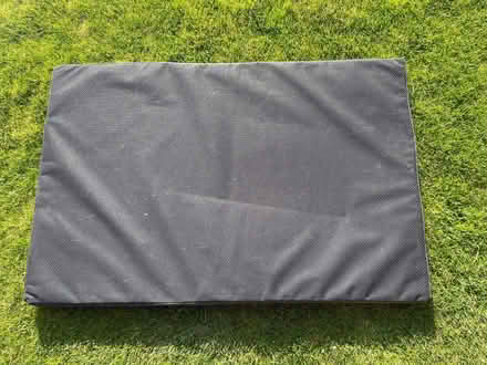 Photo of free Dog mat/bed (Harrogate HG2) #2
