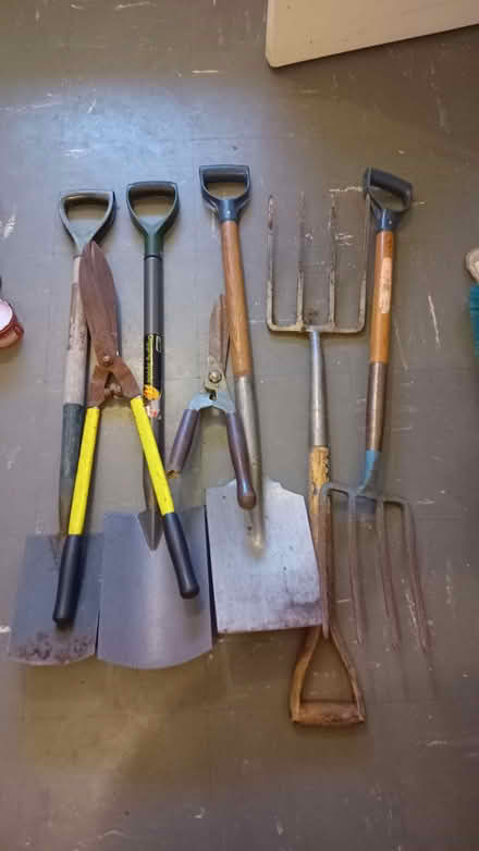 Photo of free Collection of gardening tools (Homerton E9) #1